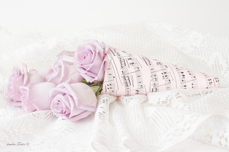 Lavender Roses And Music Photograph by Sandra Foster