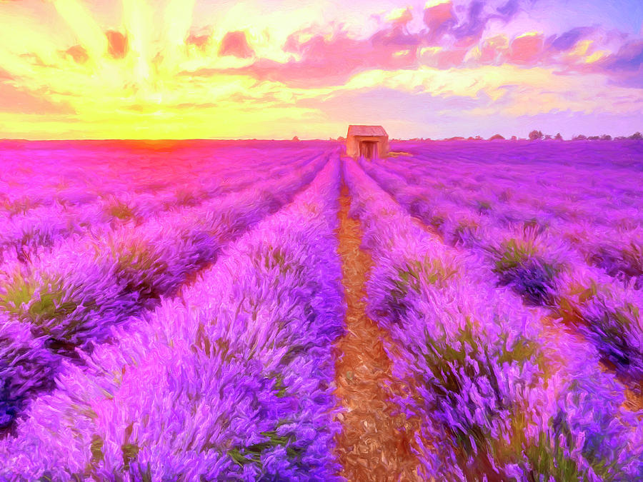 Lavender Sunrise Painting by Dominic Piperata