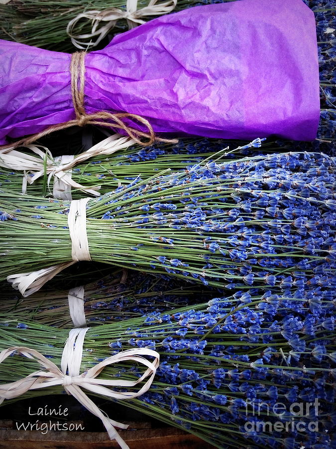 Lavender Tied With A Bow Photograph by Lainie Wrightson