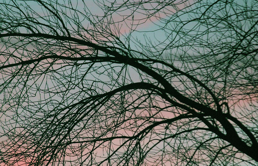Lavish Sky Photograph by The Art Of Marilyn Ridoutt-Greene