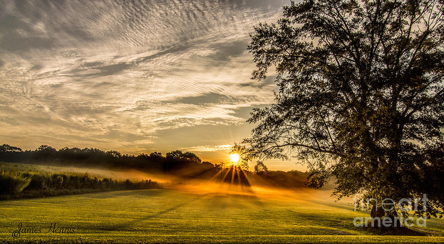 Lawn Sunrise Photograph by Metaphor Photo