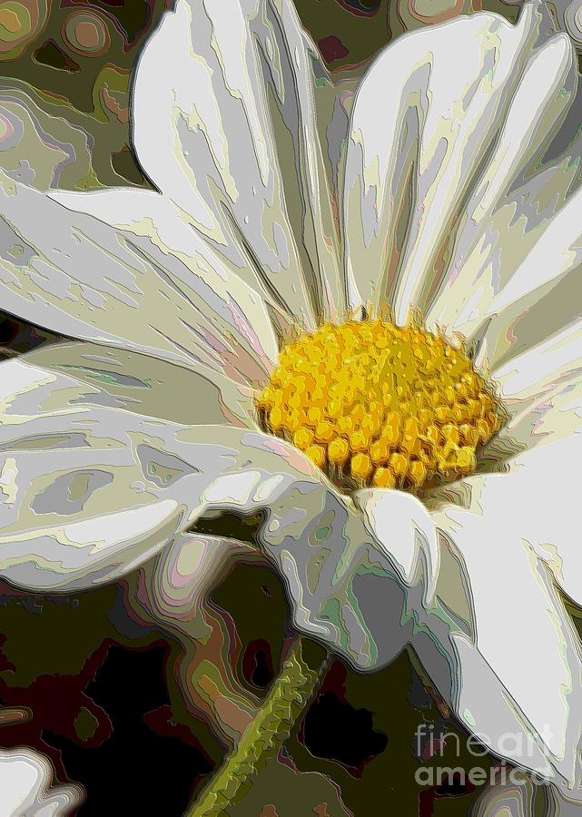 Layers of a White Cosmos Flower - Digital Art Photograph by Carol Groenen