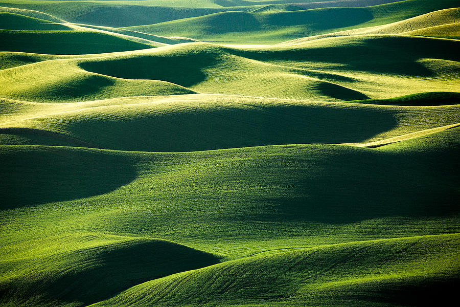 Washington Photograph - Layers of Green by Todd Klassy