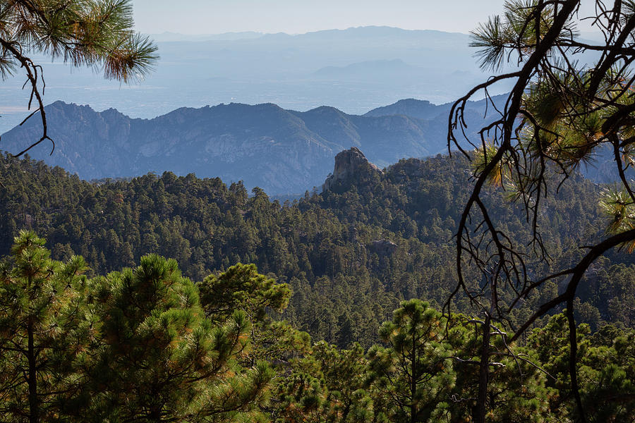 Layers of Mount Lemmon Photograph by Billy Bateman - Fine Art America