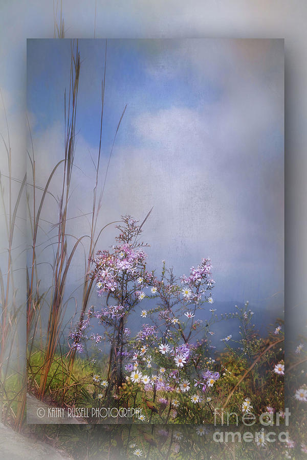Layers of Wildflowers Photograph by Kathy Russell