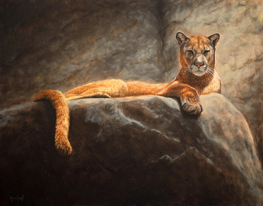 Laying Cougar Painting by Linda Merchant