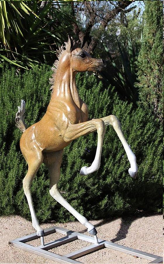 Arabian Horse Life Size Bronze Sculpture   Sculpture by J Anne Butler