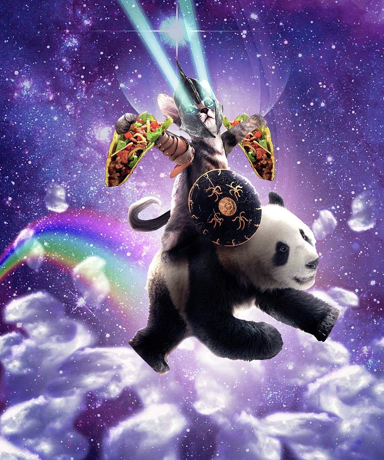 Lazer Warrior Space Cat Riding Panda With Taco by Random Galaxy