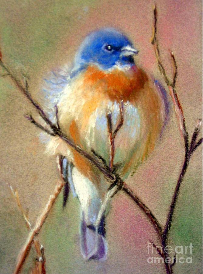 Lazuli Bunting Painting by Shirley Leswick - Fine Art America