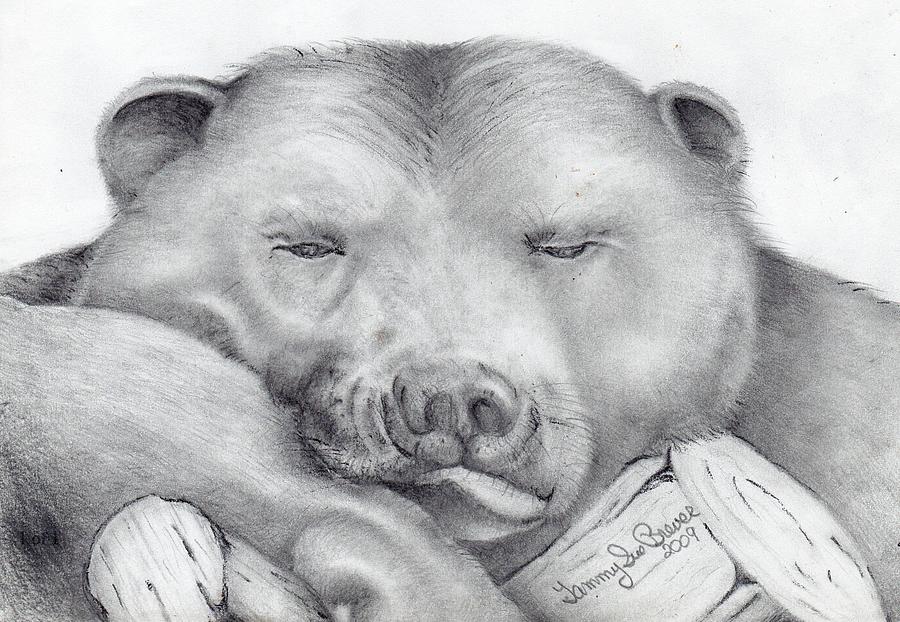 Bear Drawing - Lazy Bear by Tammy Brewer