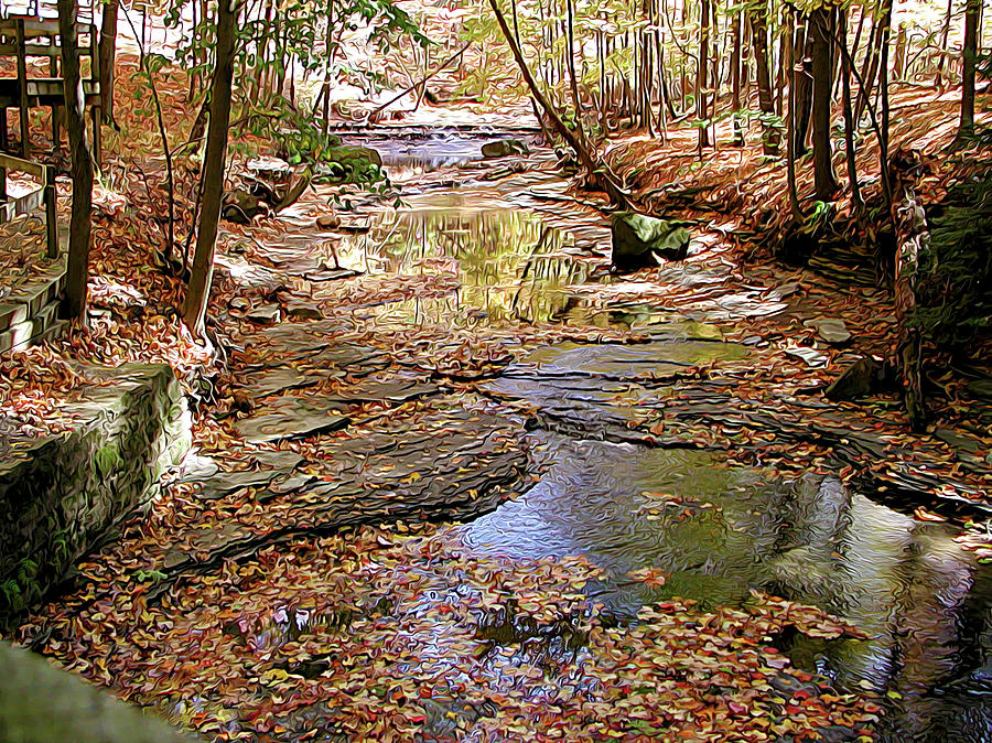 Lazy Creek Photograph by Linda Carruth