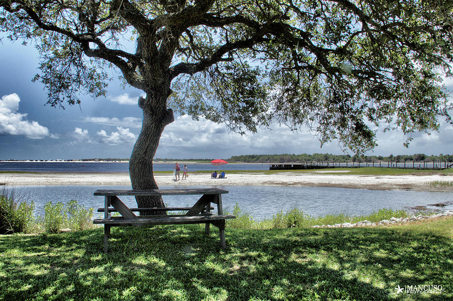 Lazy Day Along The ICW Digital Art by Phil Mancuso