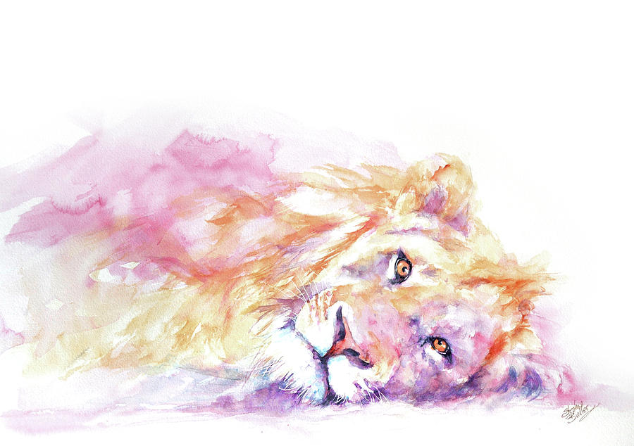 Wildlife Painting - Lazy Days - Lion by Stephie Butler