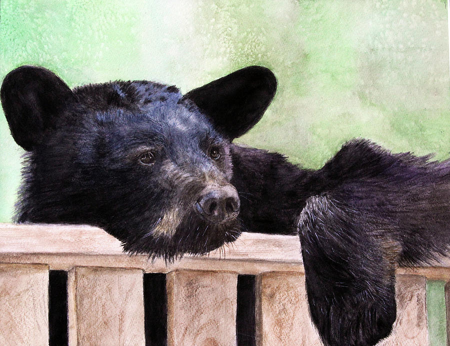 Black Bear Painting - Lazy Daze by Jodi Schneider