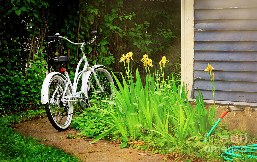 Lazy Summer Bicycle Photograph by Craig J Satterlee