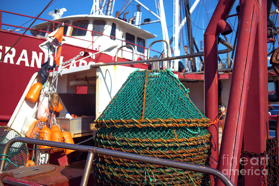 Long Beach Island Green Fishing Nets Photograph by John Rizzuto