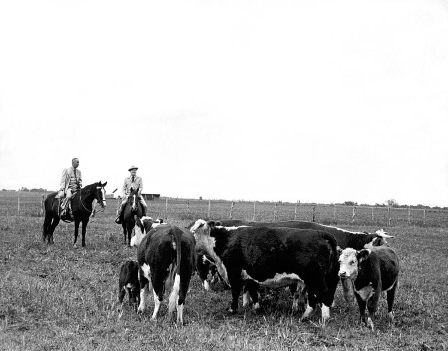 LBJ & Humphrey On Horseback Photograph by Underwood Archives