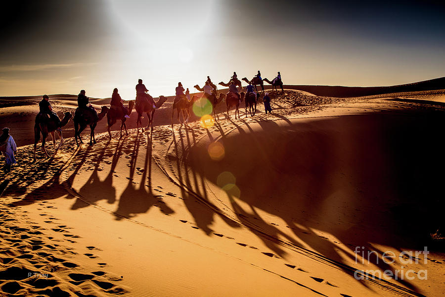 Le Chameau Desert Caravan Photograph by Rene Triay FineArt Photos
