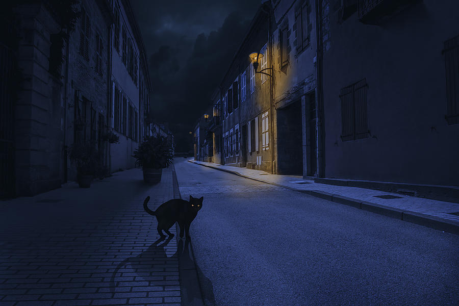 Halloween Photograph - Le Chat Noir by Omar Brunt