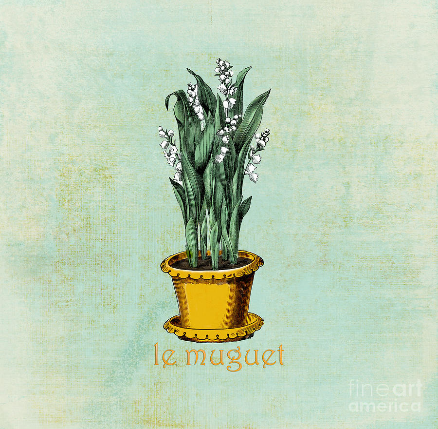 Le muguet Lily of the Valley Digital Art by Anne Kitzman