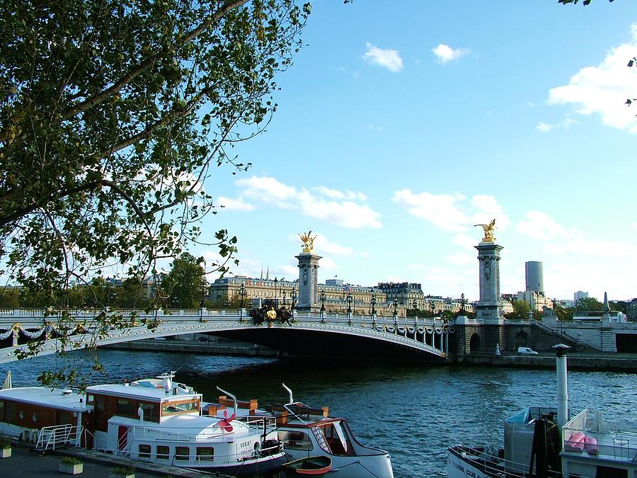 Paris Photograph - Le pont Alexandre III by Martina Fagan