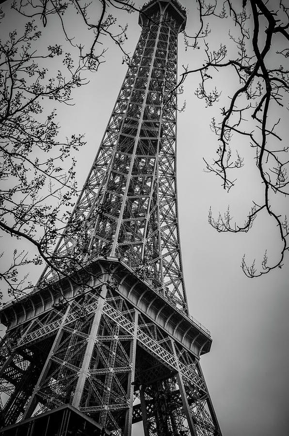 Le Tour Eiffel Photograph by Miguel Winterpacht