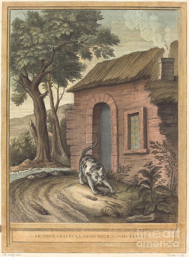Le Vieux Chat Et La Jeune Souris (the Old Catand The Young Mouse) Drawing by Johann Christoph Teucher After Jean-baptiste Oudry