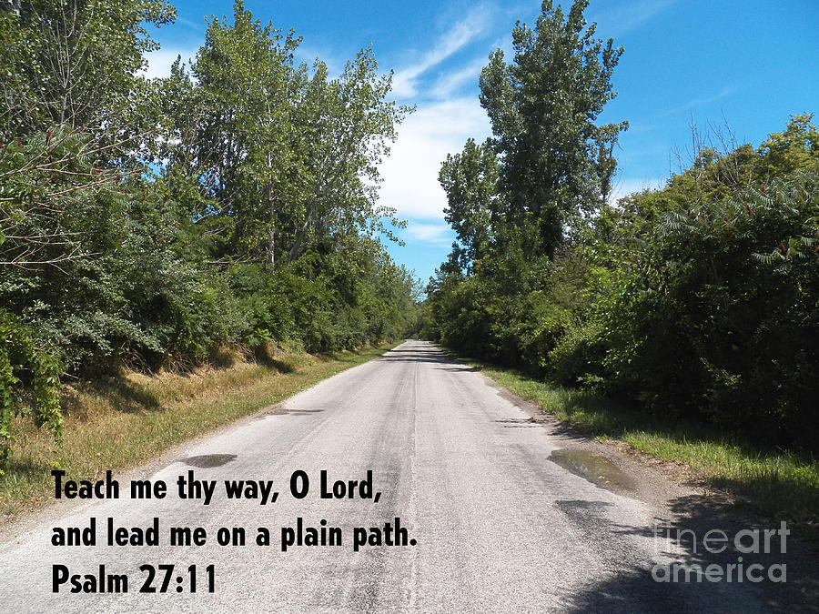 Lead Me on a Plain Path Photograph by Corinne Elizabeth Cowherd