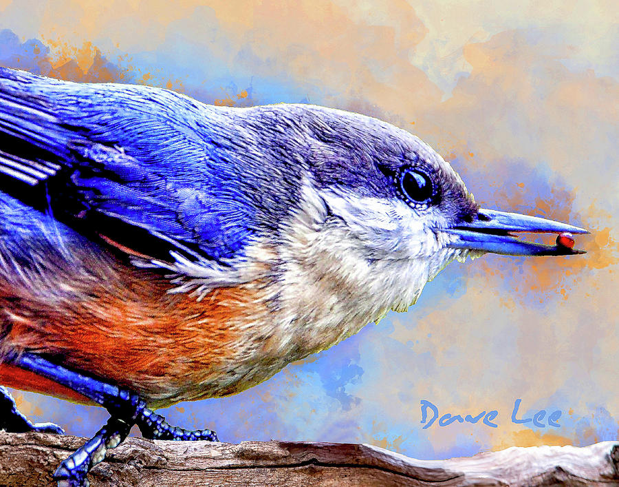 Leader of the Peck Mixed Media by Dave Lee