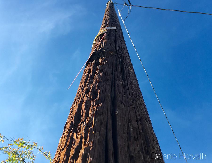 Pole Photograph - Leading lines 2 by Delanie Horvath