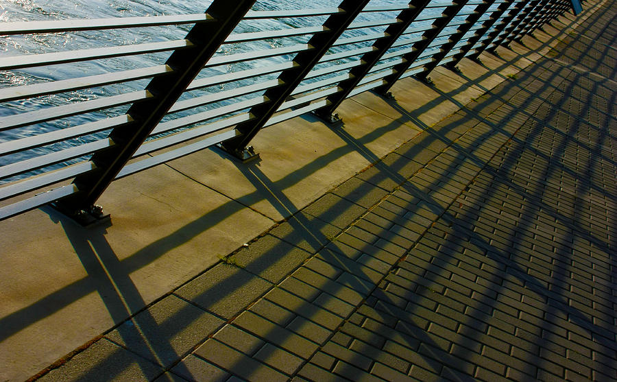 Leading Lines Photograph by Barbara  White