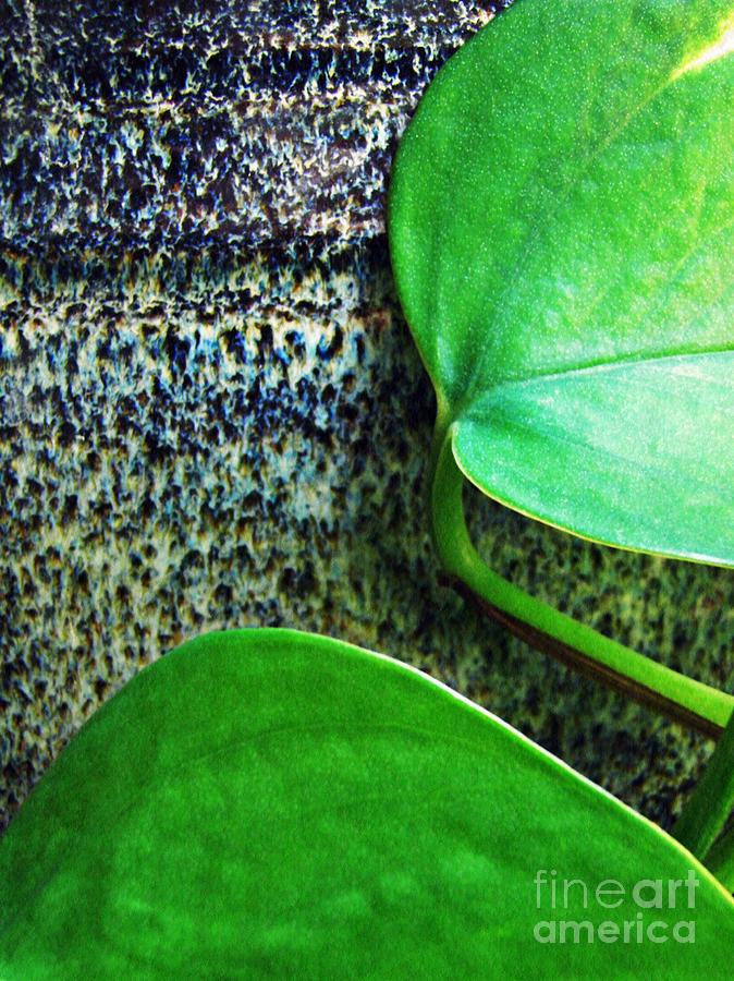 Leaf Abstract 21 Photograph by Sarah Loft