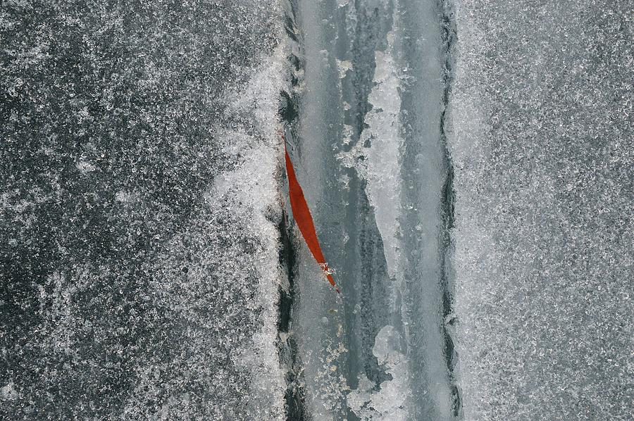 Leaf And Ice  Photograph by Lyle Crump