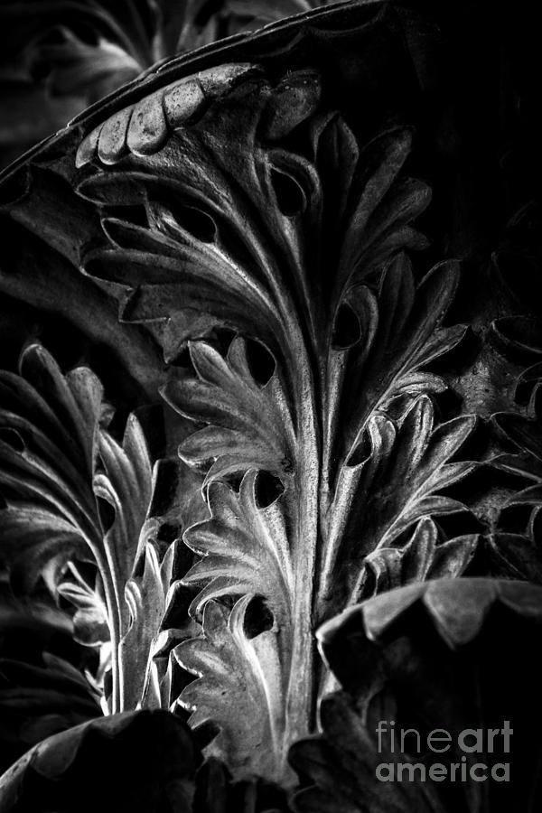 Leaf Detail 2 Black and White Photograph by Marina McLain