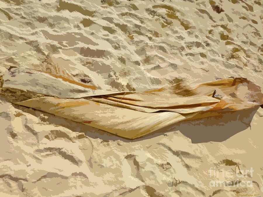 Leaf in the sand Digital Art by Francesca Mackenney