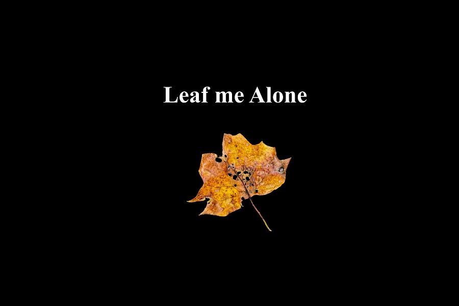 Leaf Me Alone Photograph by Sharon Popek