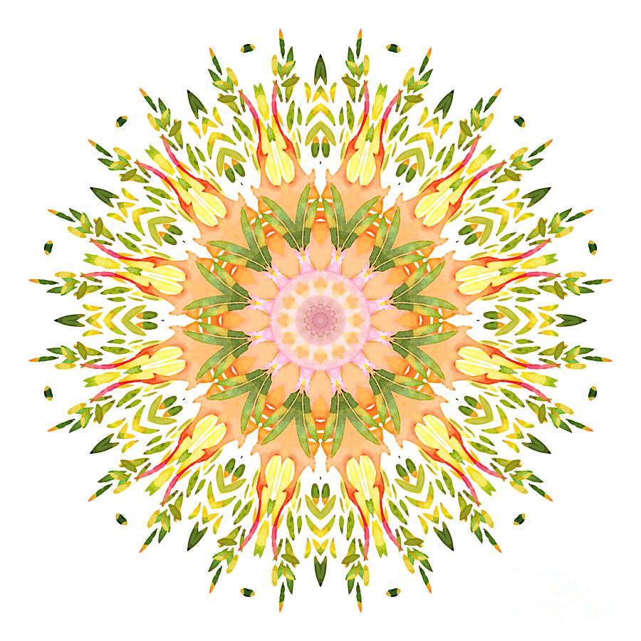 Leaf Nouveau Digital Art by Mary Machare