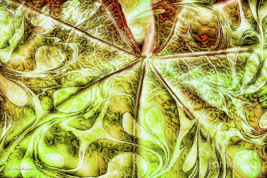 Leaf Painting Digital Art by Jean OKeeffe Macro Abundance Art