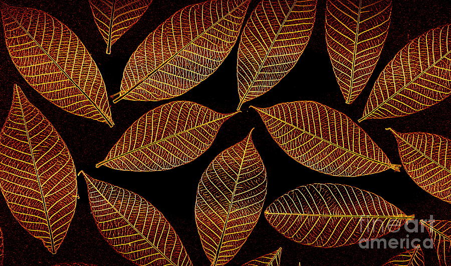 Leaf Pattern Rust Photograph by Randall Weidner
