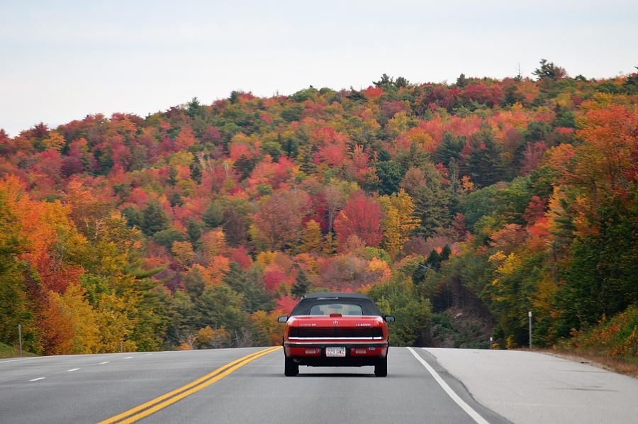 Leaf Peepers Photograph by Jewels Hamrick