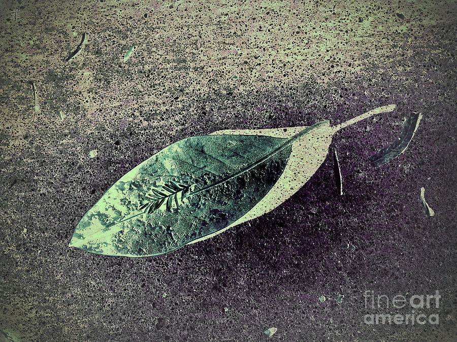 Leaf Talks Digital Art by Fei A