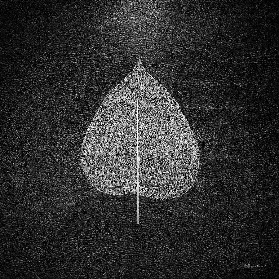 Leaf Veins Skeleton - Leaf Structure in Silver on Black Digital Art by Serge Averbukh