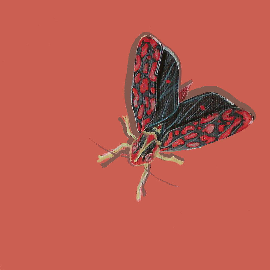 Leafhopper Painting by Jude Labuszewski