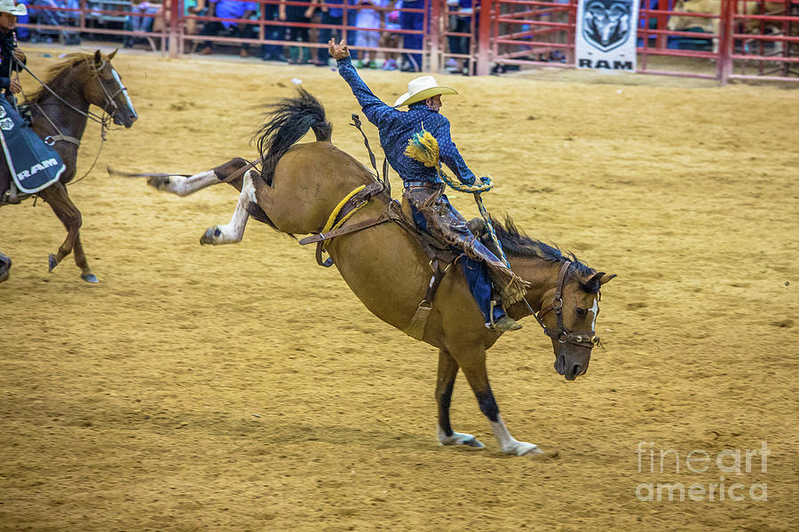 Lean Back an Hold On Cowboy Photograph by Rene Triay FineArt Photos
