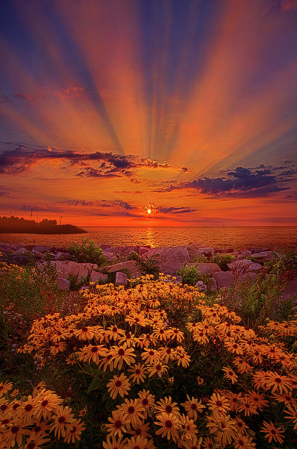 Lean Not On Your Own Understanding Photograph by Phil Koch