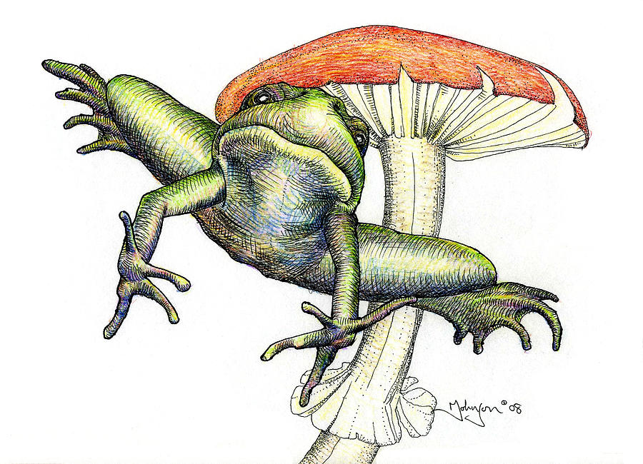 Leap Frog Drawing by Mark Johnson