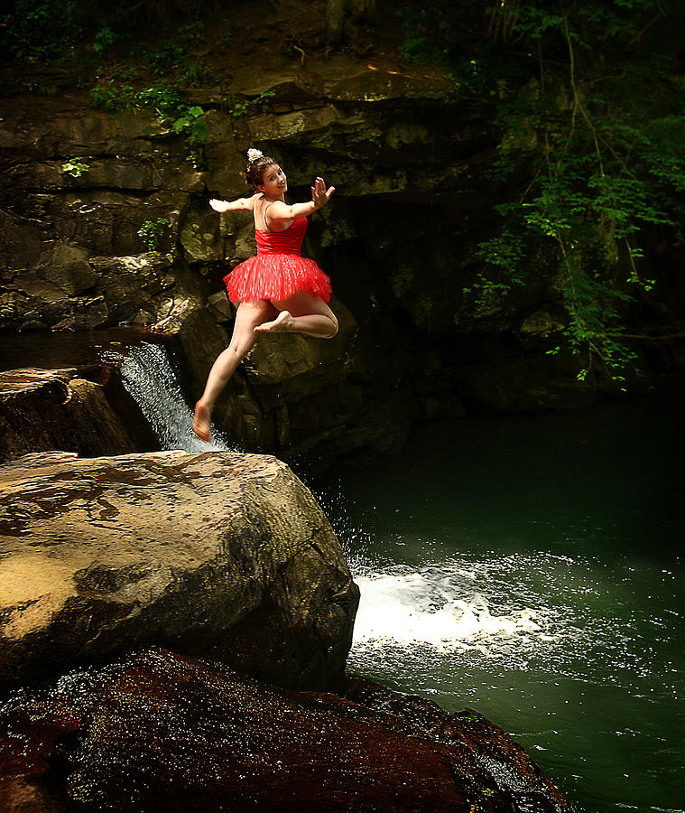 Leap of Faith Photograph by Lisa Lambert-Shank