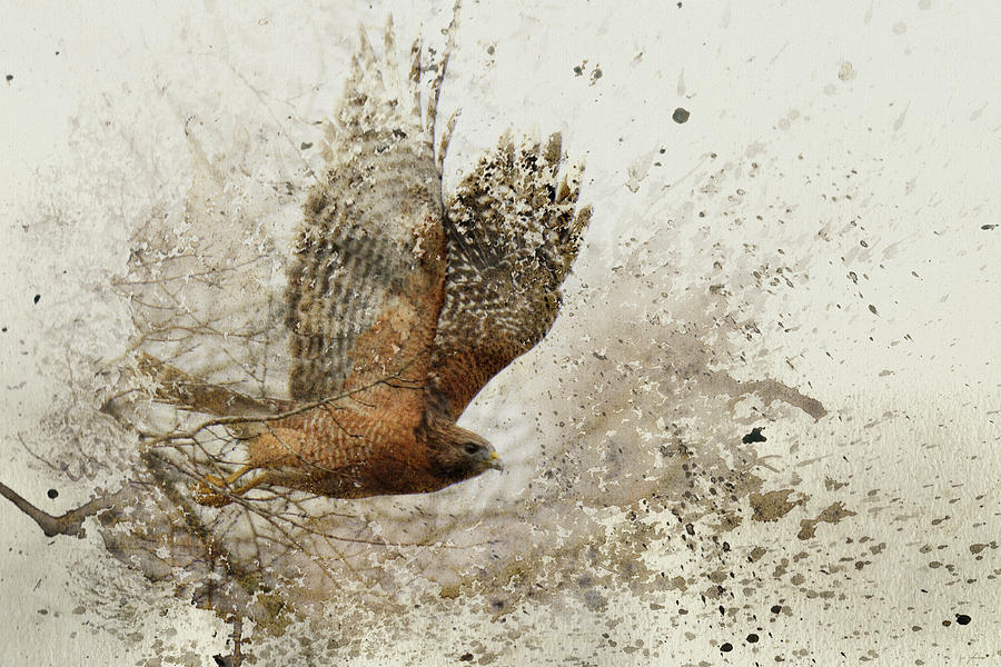 Leap of Faith Wildlife Art Photograph by Jai Johnson