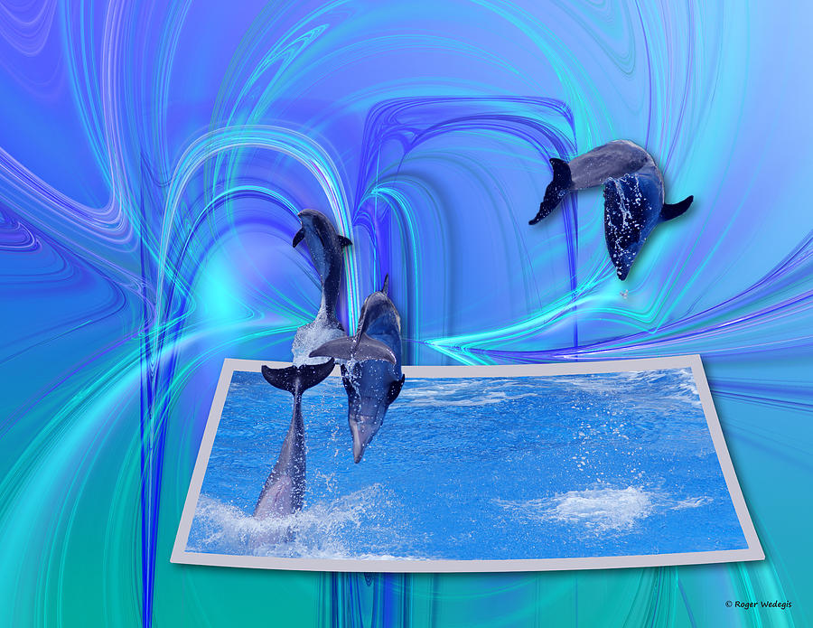 Dolphin Photograph - Leaping Dolphins by Roger Wedegis