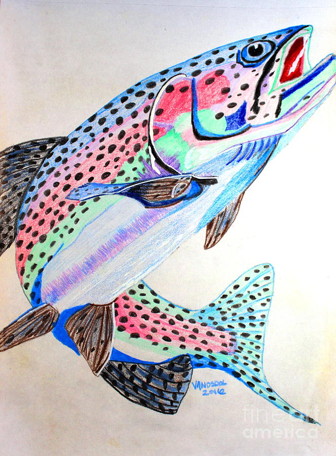 Leaping Rainbow Trout Colored Pencil Drawing by Scott D Van Osdol